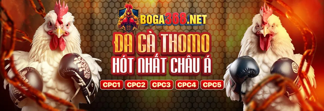 Hình ảnh đội ngũ chuyên gia của agbong88 app